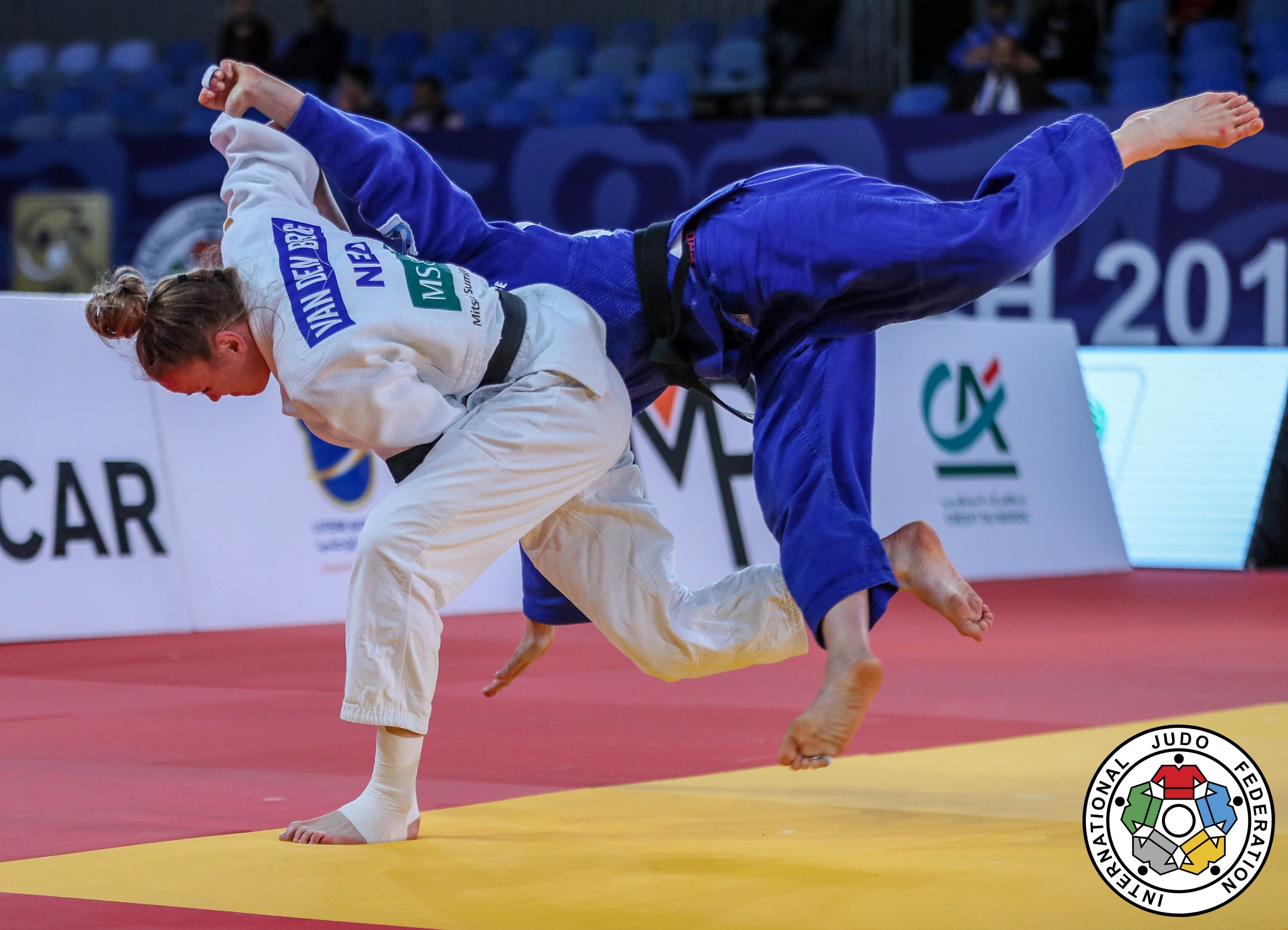 CGS_1127-1552162832-1552162832.jpg#asset:4384417