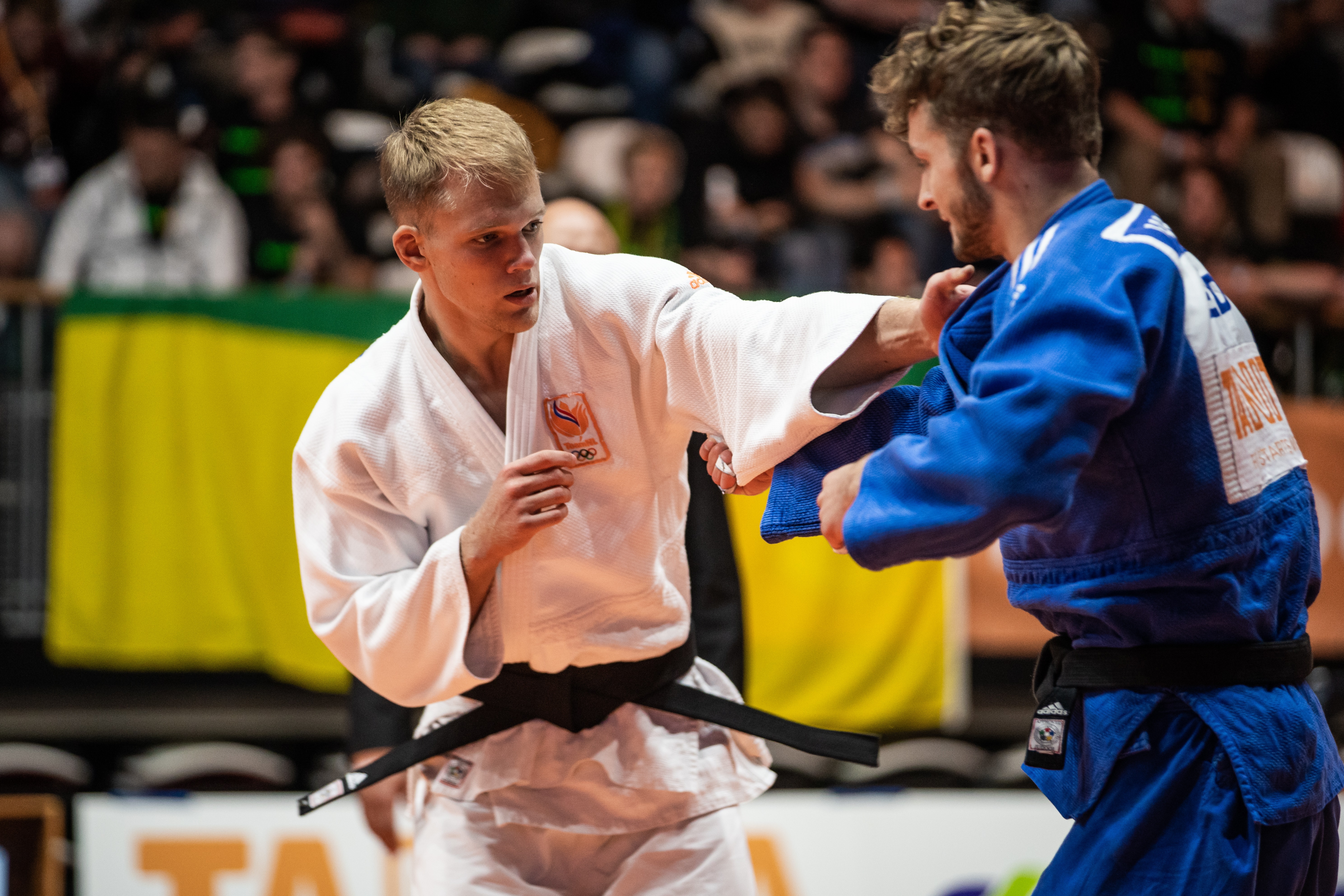 DSC05340.jpg#asset:4322229