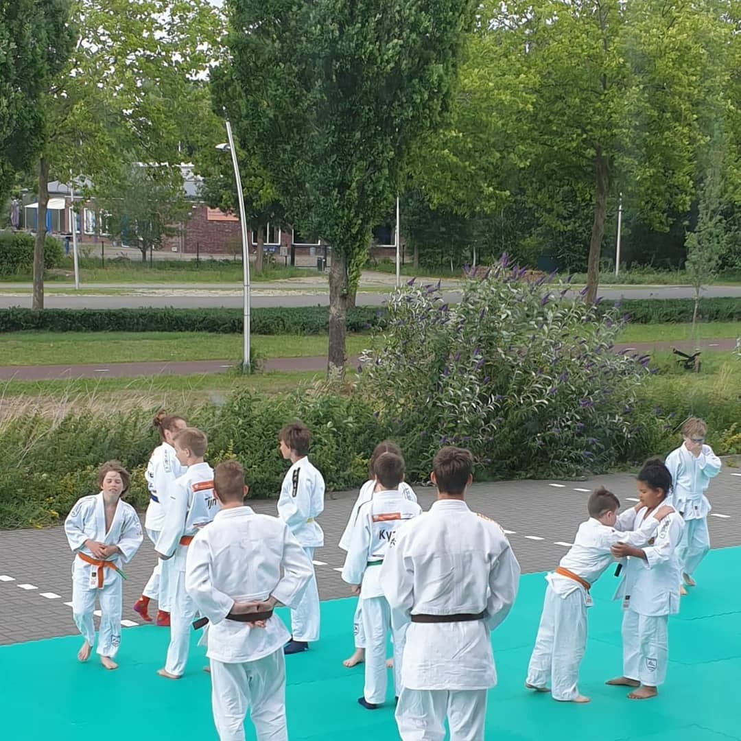 IMG_20200629_215802_059.jpg#asset:3360188