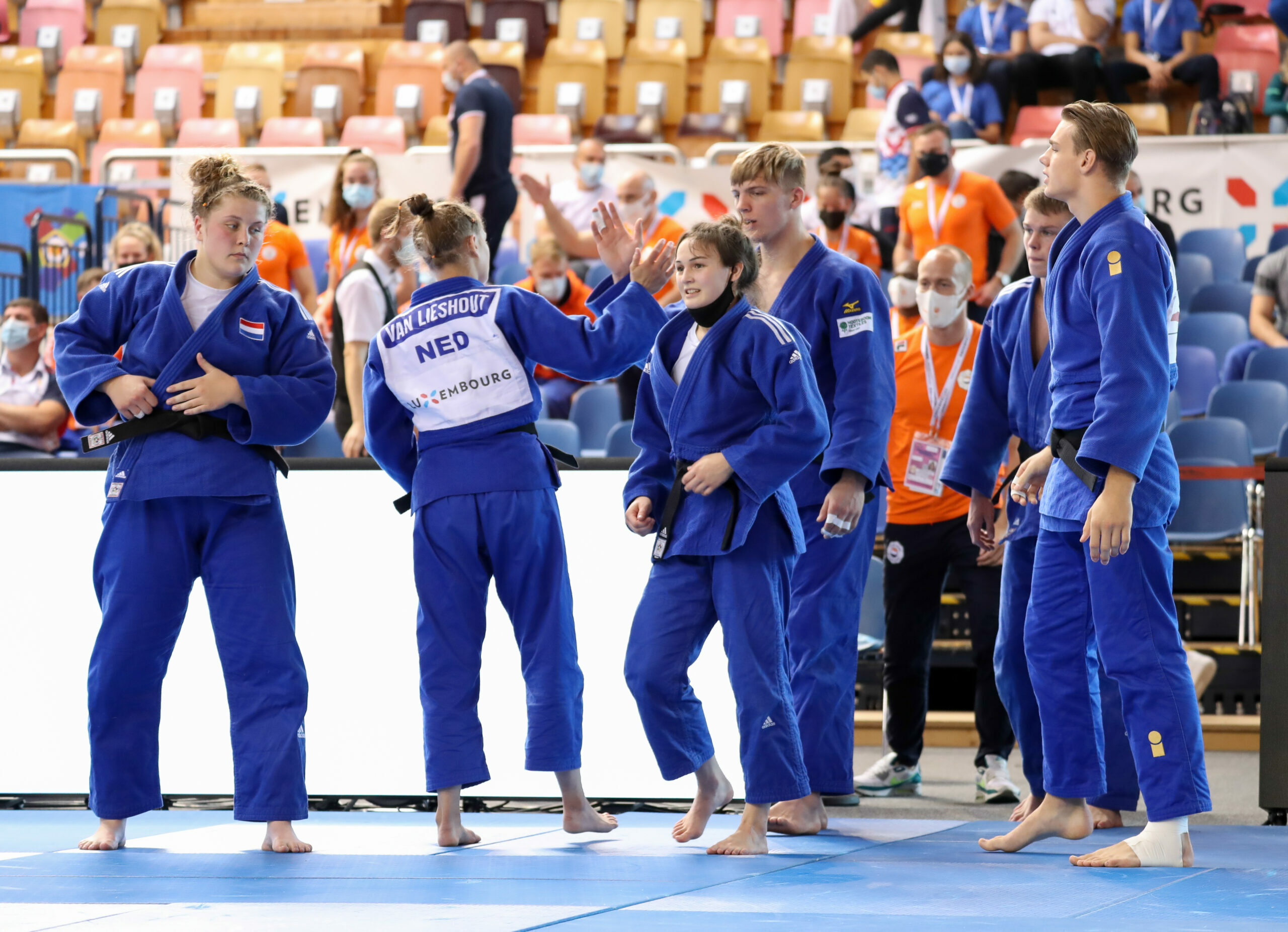 Mixteam-2.jpg#asset:6614140