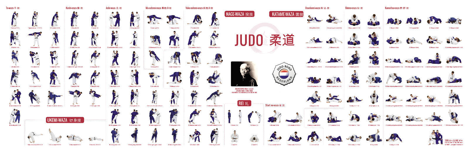 banner.jpg#asset:6034206