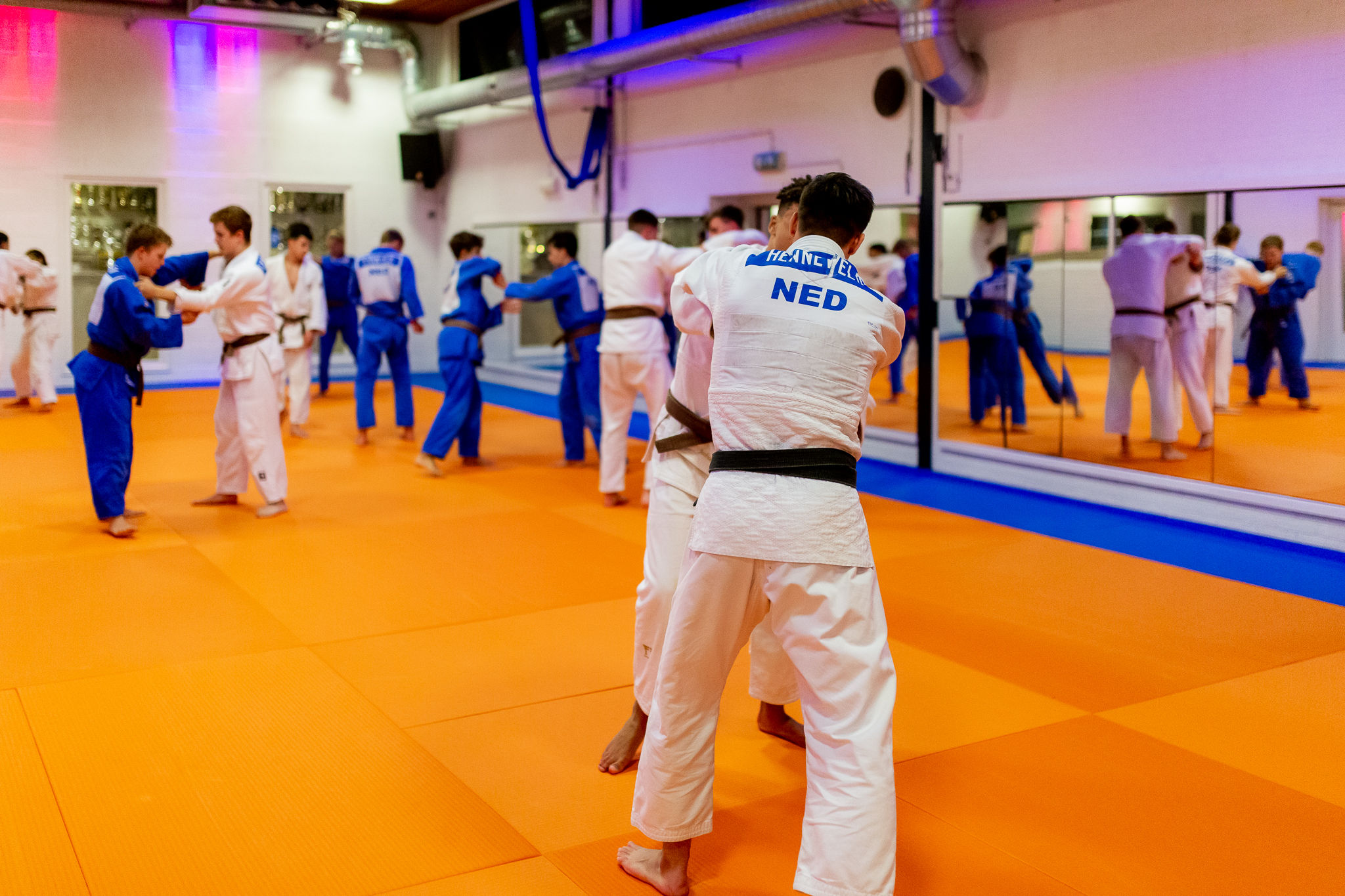 image1.jpeg#asset:6922420