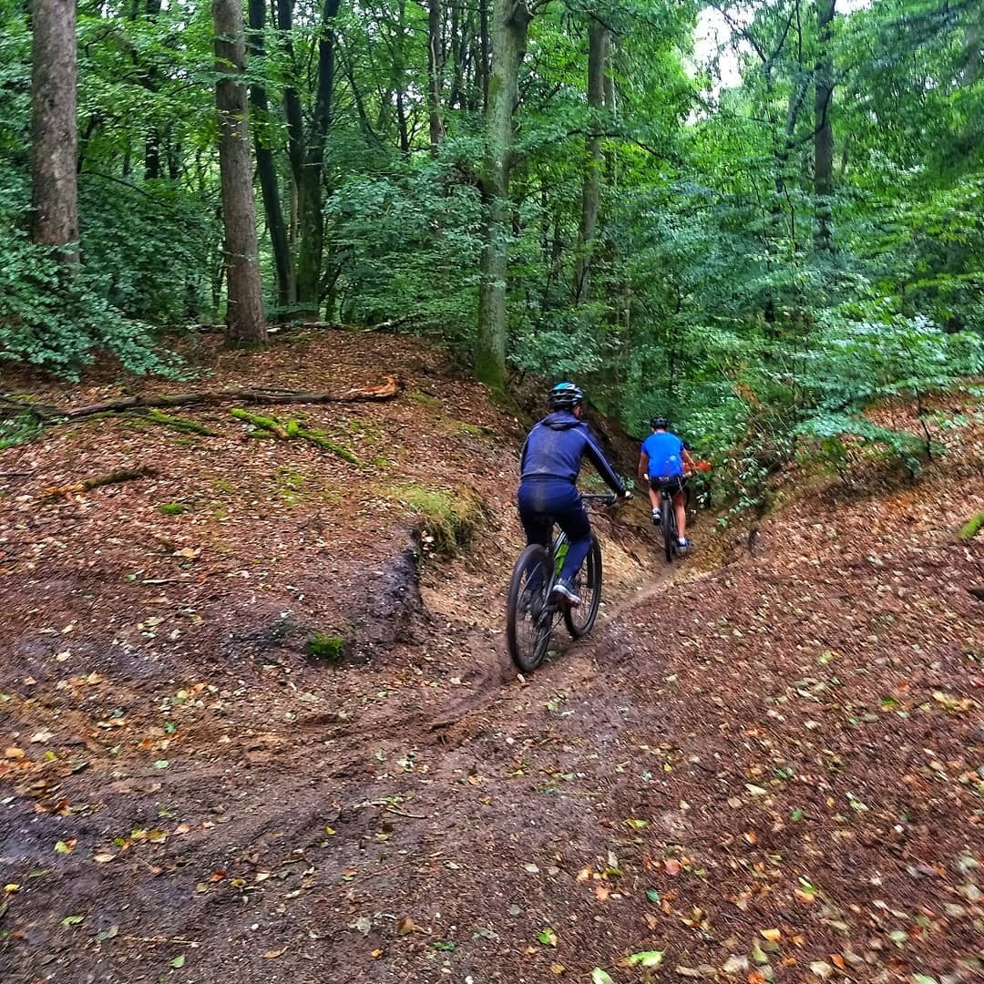 mountainbiken.jpg#asset:3667347