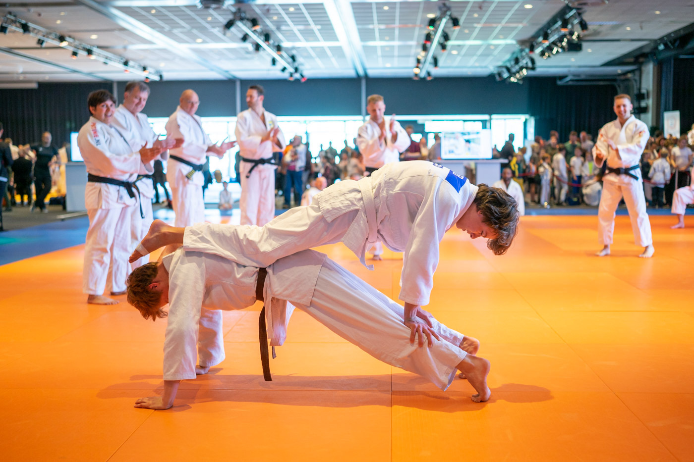 transfer-of-learning.jpg#asset:4322235