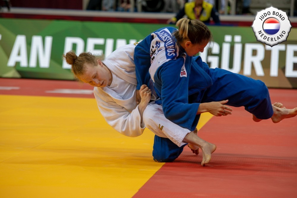 vermeer.jpg#asset:1725684